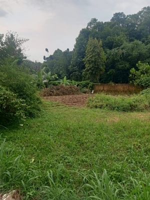 tanah-dijual-dekat-kampus-ipb